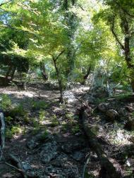 Польове з panoramio.com