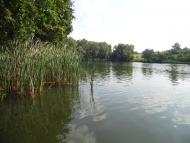 Ступаківка з panoramio.com