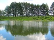 Степань з panoramio.com