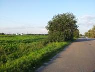 Гвоздів з panoramio.com