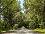 Вільне з panoramio.com