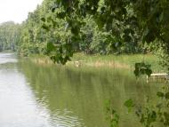 Ступаківка з panoramio.com