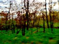 Довгалівське з panoramio.com