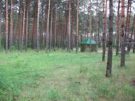 Нова Любомирка з panoramio.com