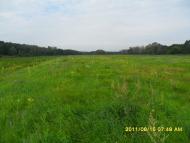 Ковалин з panoramio.com