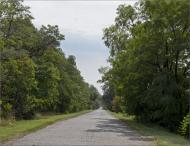 Зелене Поле з panoramio.com