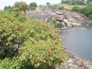 Подимка з panoramio.com