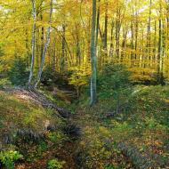 Яворівка з panoramio.com