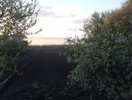 Кодня з panoramio.com