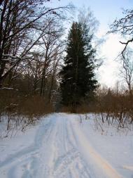 Волиця з panoramio.com