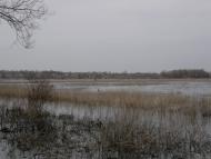 Заріг з panoramio.com