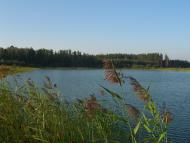 Десятини з panoramio.com