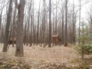 Салинці з panoramio.com