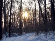 Волиця з panoramio.com