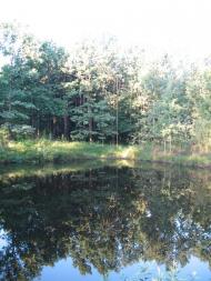 Нова Борова з panoramio.com