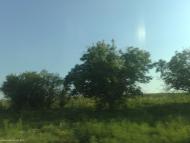 Широке з panoramio.com