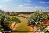 Кошари з panoramio.com - Кошары
