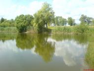 Чемер з panoramio.com