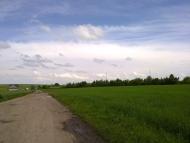 Скаржинці з panoramio.com