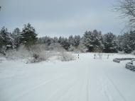Кринки з panoramio.com - Кринки