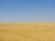 Ясинувате з panoramio.com