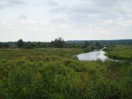 Митківці з panoramio.com