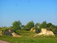 Кустин з panoramio.com