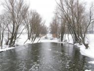 Заріг з panoramio.com