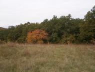 Головківка з panoramio.com