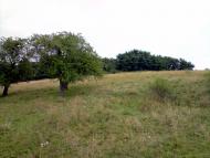 Нижня Вовча з panoramio.com