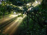 Завій з panoramio.com