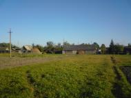 Лісове з panoramio.com