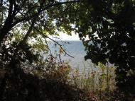 Червонодніпровка з panoramio.com