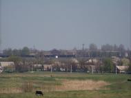 Мирове з panoramio.com