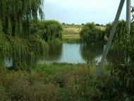 Розсоша з panoramio.com