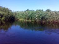 Лікареве з panoramio.com