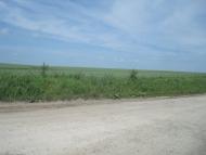 Черепова з panoramio.com