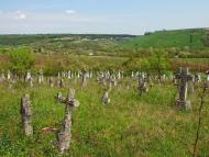 Кружківці з panoramio.com