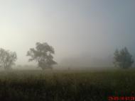 Вістова з panoramio.com