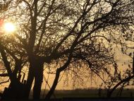 Кодня з panoramio.com