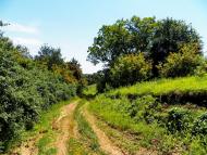 Савелівка з panoramio.com