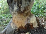 Таганка з panoramio.com