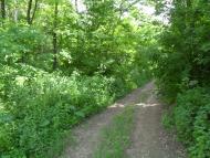 Печини з panoramio.com