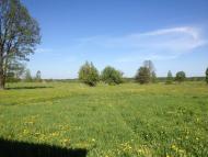 Корощине з panoramio.com