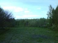 Мочалище з panoramio.com