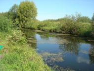 Митківці з panoramio.com