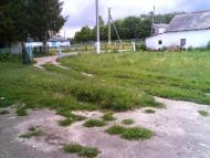 Рогізне з panoramio.com