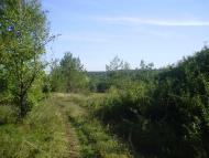 Тернова з panoramio.com