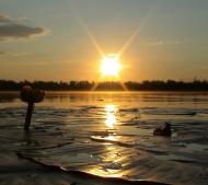 Остап'є з panoramio.com