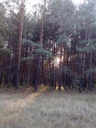 Прелесне з panoramio.com